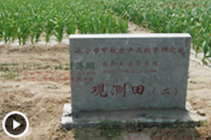 大蒜觀測田苗情長勢監(jiān)測—3月17日 (1758播放)