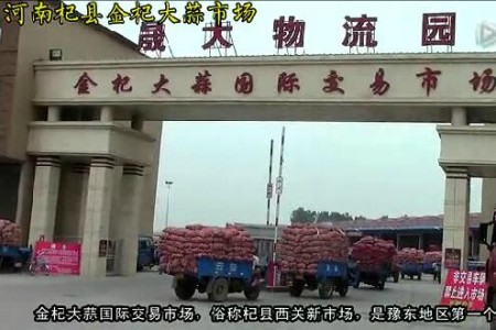 15年大蒜收購?fù)緦嶄?—記杞縣金杞大蒜市場 (2205播放)