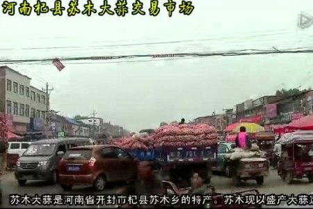 2015年大蒜收購?fù)緦嶄?——記河南杞縣蘇木大蒜市場 (2237播放)