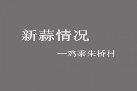 新蒜一線—“老石說市”第二期 (2801播放)