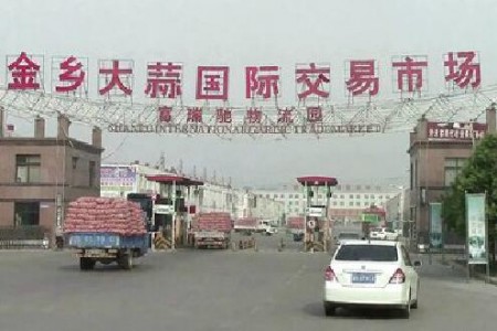 “安靜”的新蒜收儲—“老石說市”第三期 (2826播放)