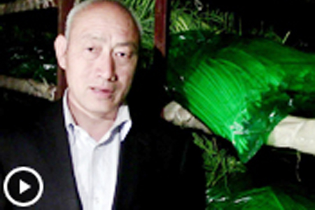 業(yè)內(nèi)人士淺談2015冷庫(kù)蒜薹—“老石說市”第十二期 (2909播放)