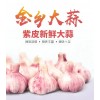 本人大量供應(yīng)紫皮混級(jí)大蒜，金鄉(xiāng)周邊菏澤大蒜產(chǎn)地供應(yīng)