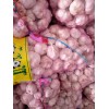 常年代購儲存河南白蒜，紫皮蒜，冷庫蒜，