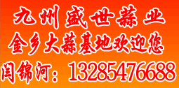 常年代收代銷代存大蒜、蒜苔，并提供冷庫出租