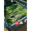 蒜薹，大蒜