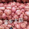 代收儲存，冷庫出租，代發(fā)全國市場