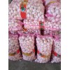 金鄉(xiāng)18新蒜