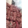 代收大蒜，本人大量供應(yīng)脫水蒜，蒜米料。