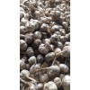 大量脫水蒜，蒜米料。誠(chéng)信代收