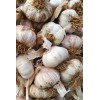 精品蒜種、精品蒜黃蒜米料