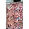 蒜種，蒜米料