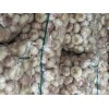大量求購市場蒜，買冷庫蒜