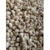 大量供應脫水蒜蒜米料