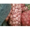 本人有蒜米料25頓