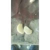 大量供應(yīng)冷庫(kù)蒜米料。大混級(jí)