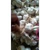 大量供應(yīng)大混級(jí)，蒜米料