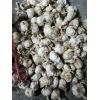 大量供應蒜米料