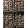 河南優(yōu)質(zhì)冷庫(kù)大蒜 蒜米料出售