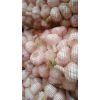 淮陽(yáng)大蒜，扒皮蒜