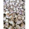 出售斑鳩店蒜黃蒜，蒜米料