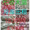 專業(yè)代收，儲存金鄉(xiāng)大蒜