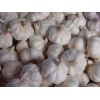 誠信代理金鄉(xiāng)大蒜 蒜片 蒜薹加工，儲存，銷售業(yè)務