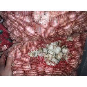求購(gòu)蒜米料，及老蒜切片
