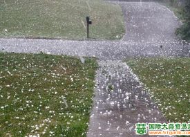 河北永年、濟南商河冰雹來襲 ()