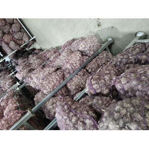 大量出售混級(jí)大蒜，發(fā)芽大蒜。
