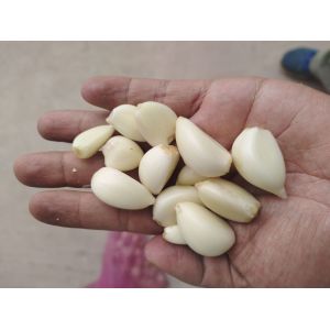 低價(jià)處理