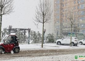 河南3月飄雪 蒜苗還好嗎？ ()