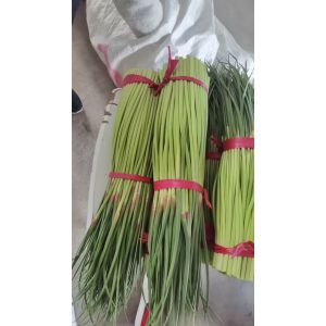 紅袍蒜苔落價(jià)了?。?/></a></div></td>
<td width=