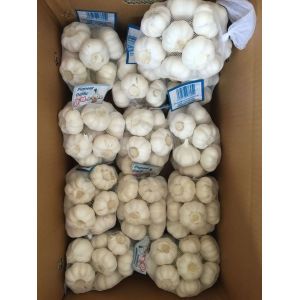 大蒜出口，加工，改包，裝箱