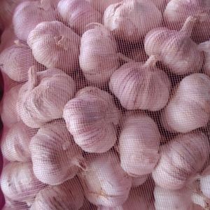 大量供應(yīng)市場貨，印尼，米料