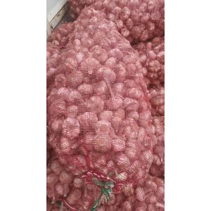 求購：大噸位大霉蒜、黑大個好扒米蒜