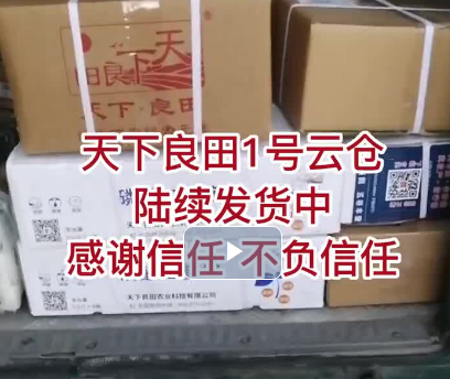 天下良田1號云倉陸續(xù)發(fā)貨中，感謝新人，不負信任 (994播放)