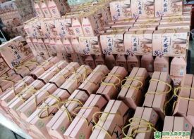 汕尾：大安蒜規(guī)?；N植 ()