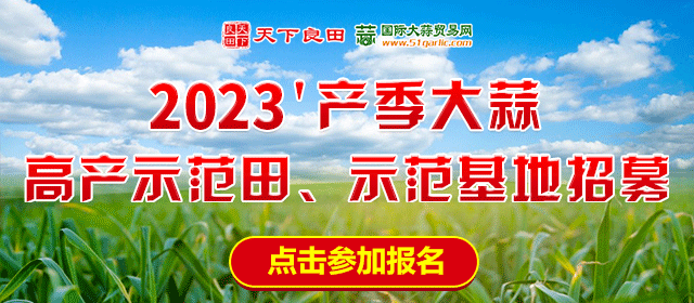 2023’產(chǎn)季大蒜高產(chǎn)示范田、示范基地招募啟示 ()