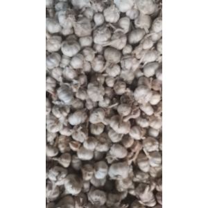 出售：冷庫內(nèi)中大混級蒜（印尼蒜）20噸