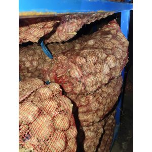 出售:前期三無蒜米料，490噸價(jià)格2.94米子亮白