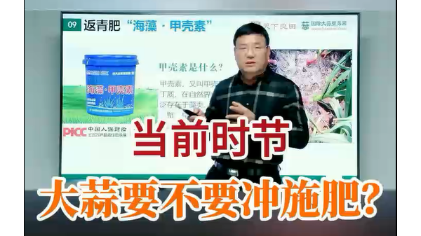 當(dāng)前時節(jié)大蒜要不要沖施肥？ ()