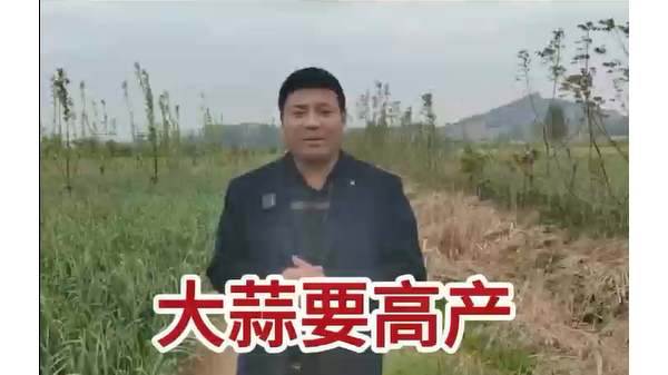 大蒜要高產(chǎn) 科學(xué)管理是關(guān)鍵 (803播放)