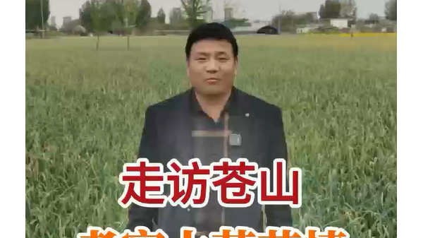 走訪蒼山 考察大蒜苗情 (810播放)