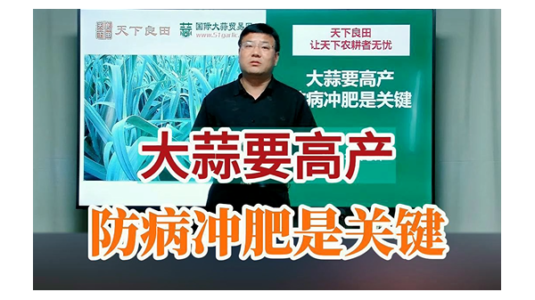 大蒜要高產(chǎn)防病沖肥是關(guān)鍵 (794播放)