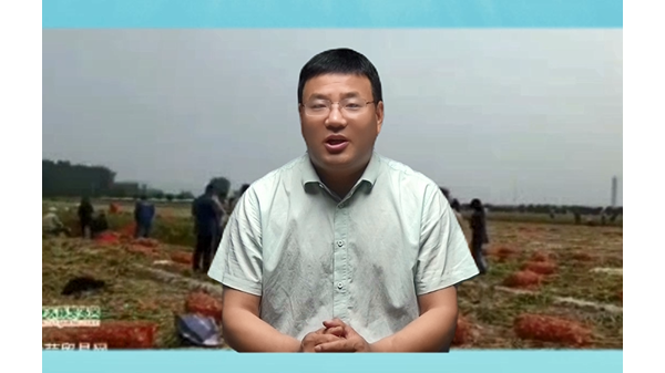 新蒜的確立價格要在什么時候出現(xiàn)？ (962播放)
