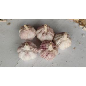 有100噸新蒜，干蒜混級