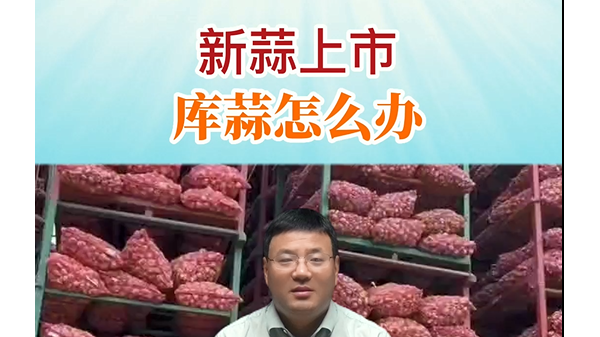 新蒜上市、庫蒜怎么辦？ ()