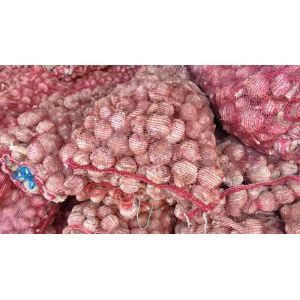 本人大量供應(yīng)脫水蒜，蒜米料，蒜黃料