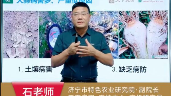 大蒜病害多 產(chǎn)量低的原因 (737播放)